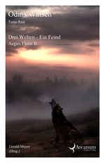 Buch-Cover, Tanja Rast: Odins Waisen