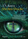 Merlins Drache